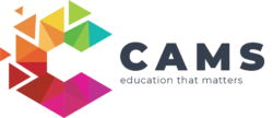 Cinema Advertising Marketing School